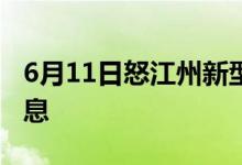 6月11日怒江州新型冠狀病毒肺炎疫情最新消息