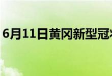 6月11日黃岡新型冠狀病毒肺炎疫情最新消息