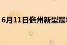 6月11日儋州新型冠狀病毒肺炎疫情最新消息