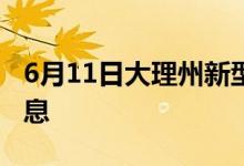 6月11日大理州新型冠狀病毒肺炎疫情最新消息