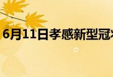 6月11日孝感新型冠狀病毒肺炎疫情最新消息