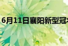 6月11日襄陽新型冠狀病毒肺炎疫情最新消息