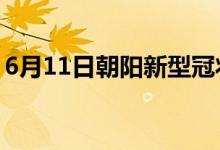 6月11日朝陽(yáng)新型冠狀病毒肺炎疫情最新消息