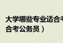 大學哪些專業(yè)適合考公務員（大學哪些專業(yè)適合考公務員）