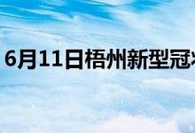 6月11日梧州新型冠狀病毒肺炎疫情最新消息