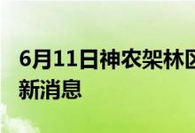 6月11日神農(nóng)架林區(qū)新型冠狀病毒肺炎疫情最新消息