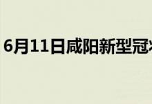 6月11日咸陽(yáng)新型冠狀病毒肺炎疫情最新消息