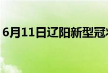 6月11日遼陽(yáng)新型冠狀病毒肺炎疫情最新消息