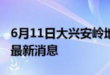 6月11日大興安嶺地區(qū)新型冠狀病毒肺炎疫情最新消息