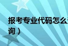 報(bào)考專業(yè)代碼怎么查2020（大學(xué)專業(yè)代碼查詢）