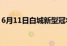 6月11日白城新型冠狀病毒肺炎疫情最新消息