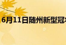 6月11日隨州新型冠狀病毒肺炎疫情最新消息