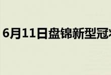 6月11日盤錦新型冠狀病毒肺炎疫情最新消息