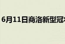 6月11日商洛新型冠狀病毒肺炎疫情最新消息