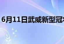 6月11日武威新型冠狀病毒肺炎疫情最新消息