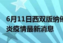 6月11日西雙版納傣族自治州新型冠狀病毒肺炎疫情最新消息