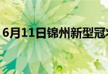 6月11日錦州新型冠狀病毒肺炎疫情最新消息