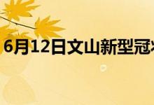 6月12日文山新型冠狀病毒肺炎疫情最新消息