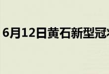 6月12日黃石新型冠狀病毒肺炎疫情最新消息