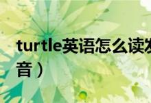 turtle英語怎么讀發(fā)音（turtle英語怎么讀發(fā)音）