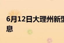 6月12日大理州新型冠狀病毒肺炎疫情最新消息