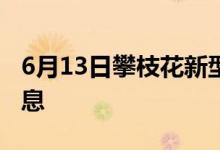 6月13日攀枝花新型冠狀病毒肺炎疫情最新消息