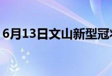 6月13日文山新型冠狀病毒肺炎疫情最新消息