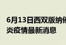 6月13日西雙版納傣族自治州新型冠狀病毒肺炎疫情最新消息