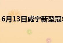 6月13日咸寧新型冠狀病毒肺炎疫情最新消息