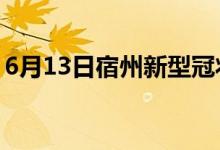 6月13日宿州新型冠狀病毒肺炎疫情最新消息