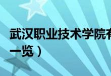 武漢職業(yè)技術學院有哪些專業(yè)（院校開設專業(yè)一覽）