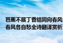 芭蕉不展丁香結(jié)同向春風(fēng)各自愁解釋（芭蕉不展丁香結(jié)同向春風(fēng)各自愁全詩翻譯賞析及作者出處）