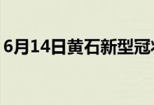 6月14日黃石新型冠狀病毒肺炎疫情最新消息