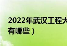 2022年武漢工程大學(xué)評價怎么樣（王牌專業(yè)有哪些）