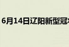 6月14日遼陽新型冠狀病毒肺炎疫情最新消息