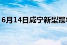 6月14日咸寧新型冠狀病毒肺炎疫情最新消息