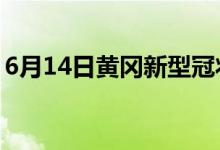 6月14日黃岡新型冠狀病毒肺炎疫情最新消息