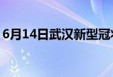 6月14日武漢新型冠狀病毒肺炎疫情最新消息