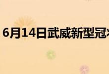 6月14日武威新型冠狀病毒肺炎疫情最新消息