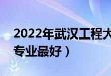 2022年武漢工程大學(xué)專業(yè)排名及介紹（哪些專業(yè)最好）