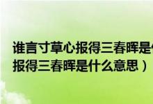 誰(shuí)言寸草心報(bào)得三春暉是什么意思酷知經(jīng)驗(yàn)網(wǎng)（誰(shuí)言寸草心報(bào)得三春暉是什么意思）