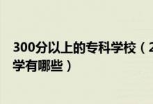 300分以上的專科學(xué)校（2022高考300分左右的公辦?？拼髮W(xué)有哪些）