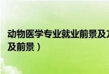 動物醫(yī)學(xué)專業(yè)就業(yè)前景及方向（2022動物醫(yī)學(xué)專業(yè)就業(yè)方向及前景）