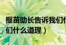 揠苗助長告訴我們什么道理（揠苗助長告訴我們什么道理）