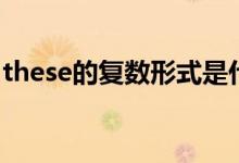 these的復(fù)數(shù)形式是什么（these的復(fù)數(shù)形式）