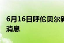 6月16日呼倫貝爾新型冠狀病毒肺炎疫情最新消息