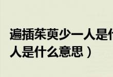 遍插茱萸少一人是什么意思?。ū椴遘镙巧僖蝗耸鞘裁匆馑迹?class=