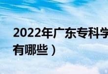 2022年廣東專(zhuān)科學(xué)校排名（最好的大專(zhuān)院校有哪些）