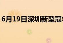 6月19日深圳新型冠狀病毒肺炎疫情最新消息