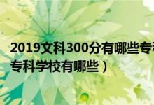 2019文科300分有哪些專(zhuān)科學(xué)校（2022高考文科300分公辦專(zhuān)科學(xué)校有哪些）